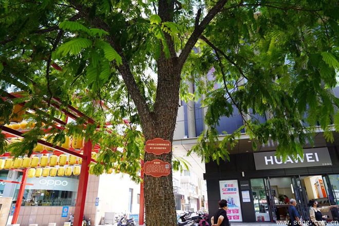 呵護芙蓉樹，攜手共成長