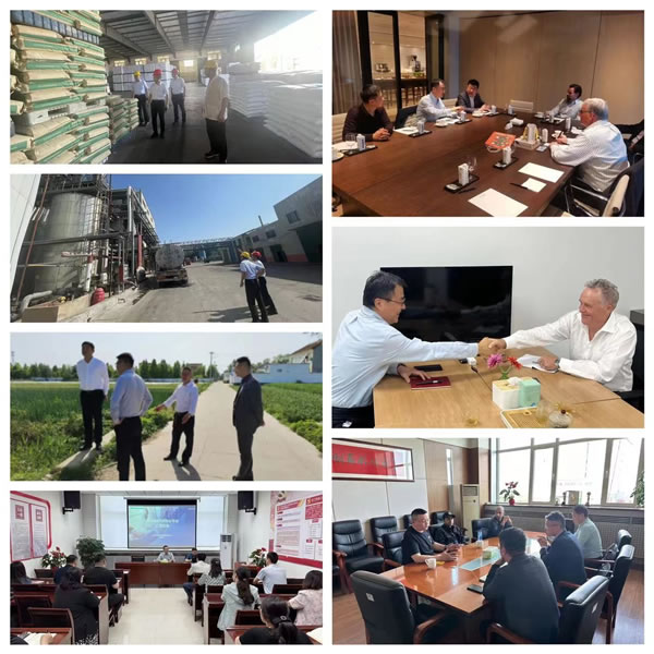 輕工供銷公司在深化調(diào)查研究中推動(dòng)主題教育走深走實(shí)