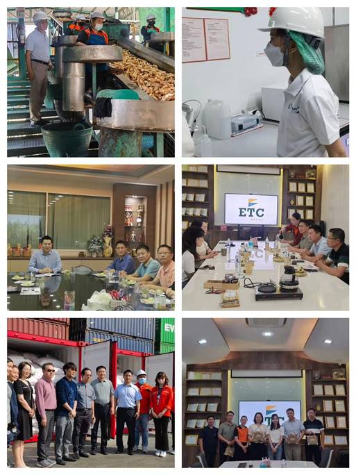 輕工供銷公司赴泰國、越南考察木薯淀粉行業(yè)，持續(xù)拓展國際“朋友圈”